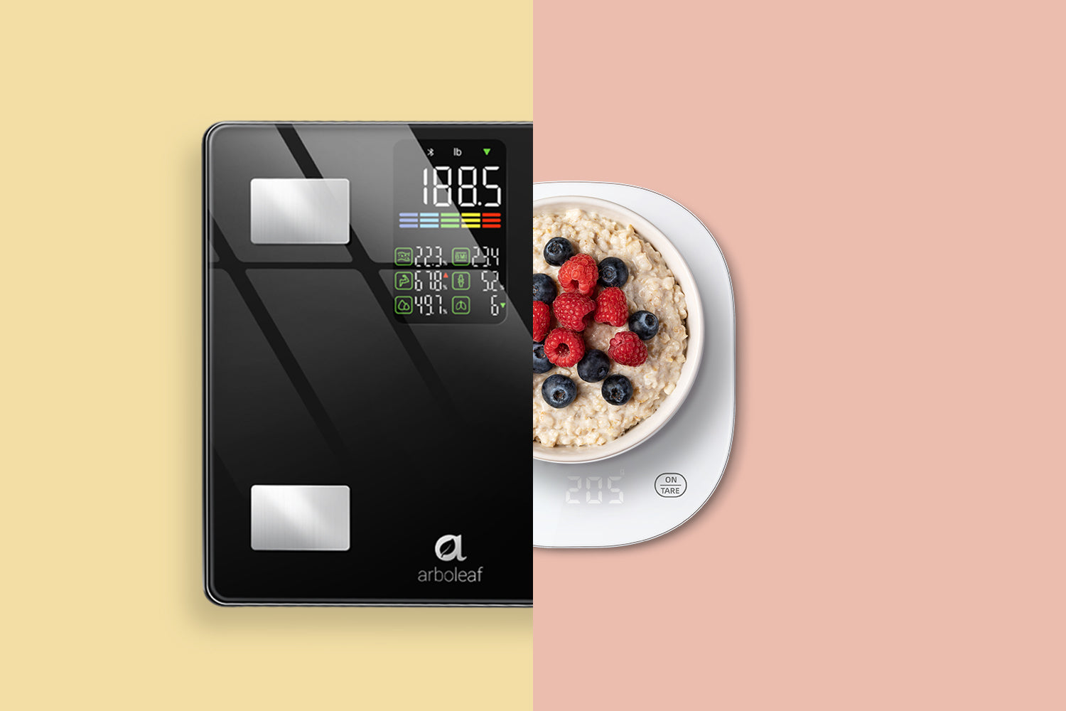 Oat Fiber: A New Hope in the Fight Against Obesity