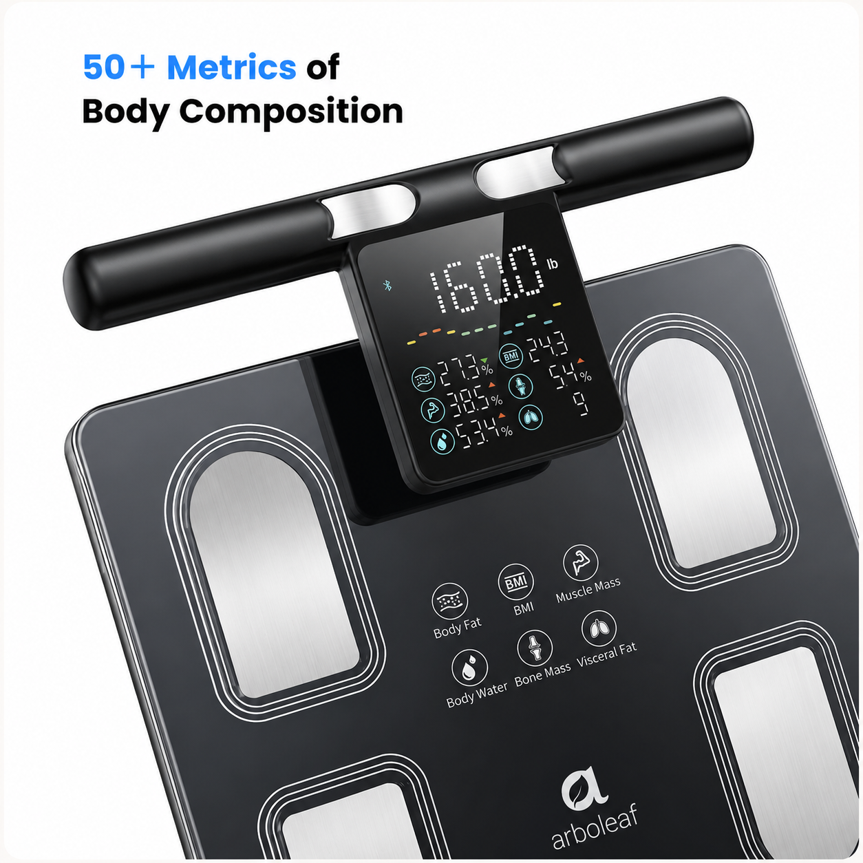 Segmental Body Scale CS10P