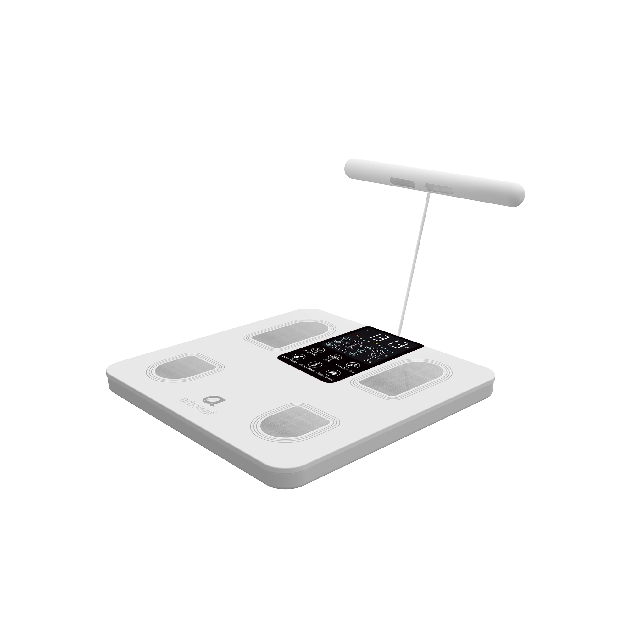 Segmental Smart Scale CS10E