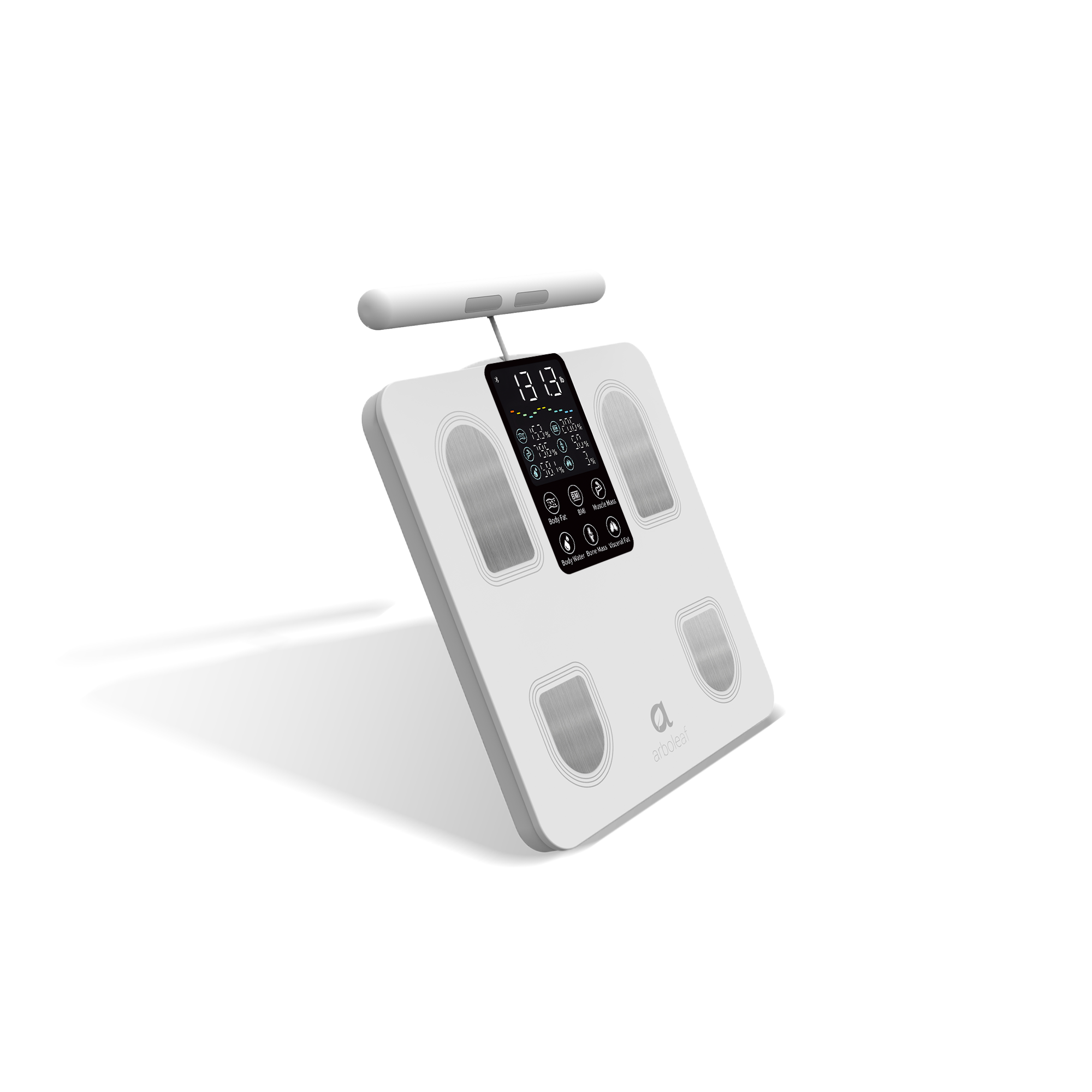 Segmental Body Scale CS10E