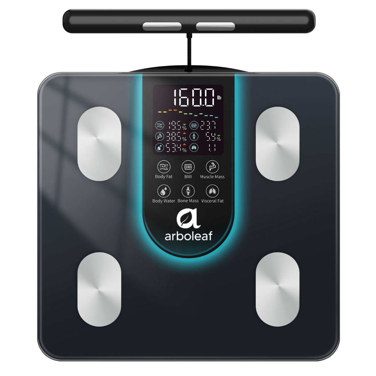 Segmental Body Scale CS10K