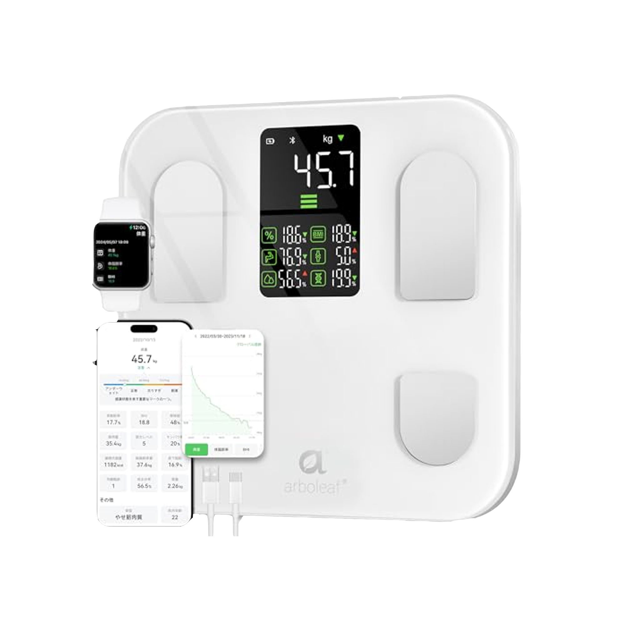 Arboleaf Body Scale CS20E