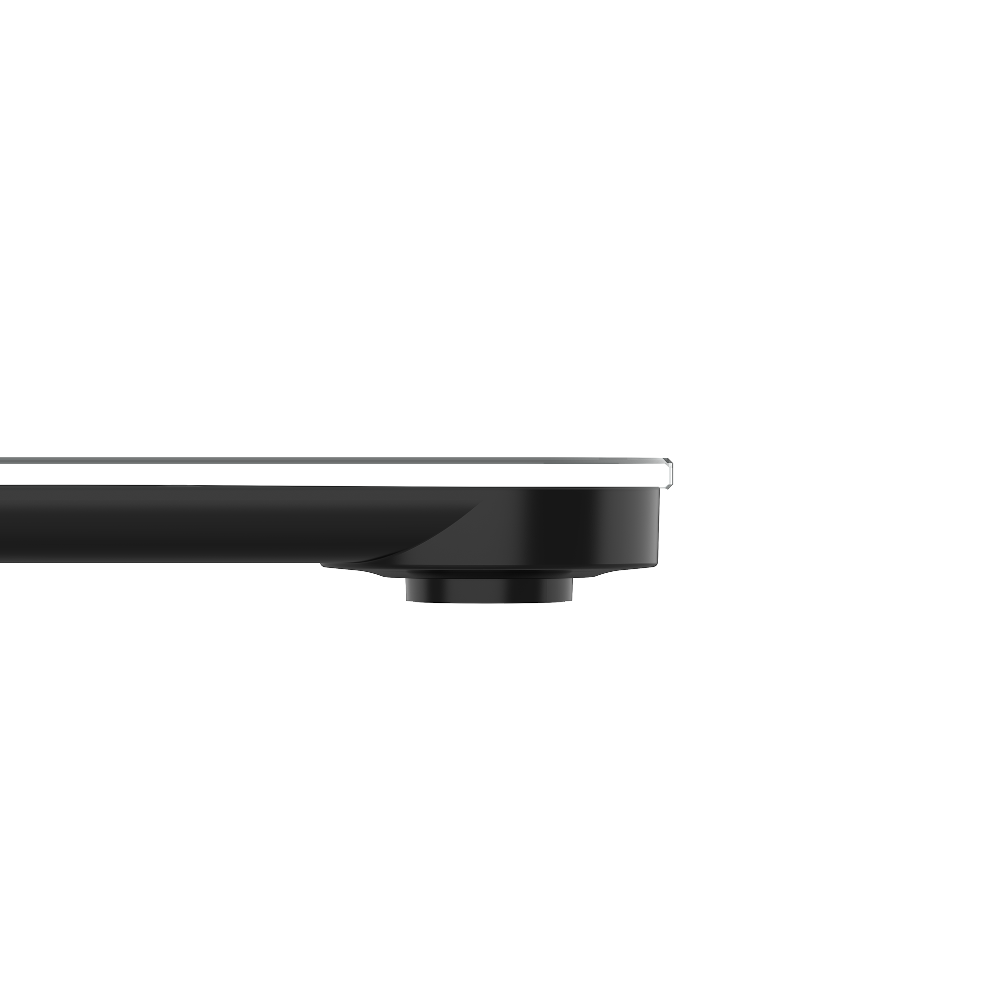 Body Scale CS20N