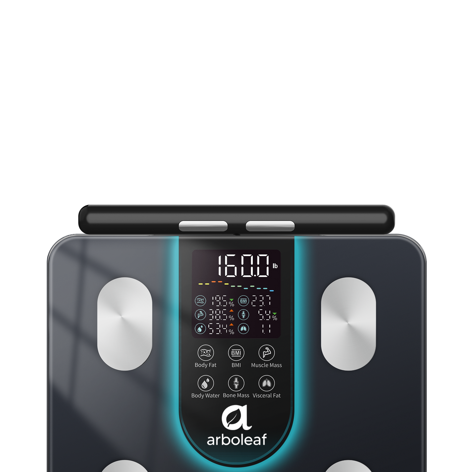 Segmental Body Scale CS10K