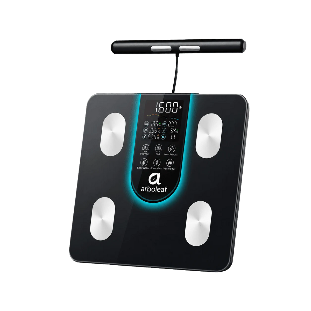 Segmental Smart Scale CS10K