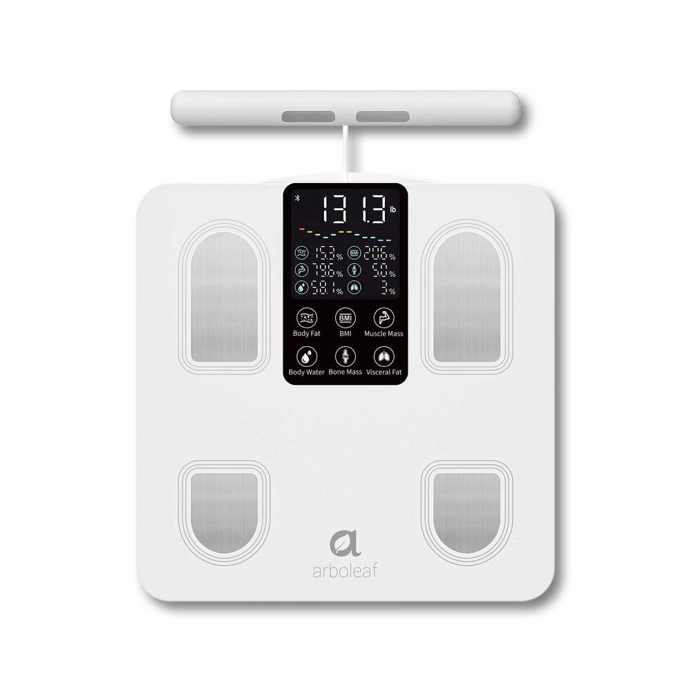 Segmental Smart Scale CS10E