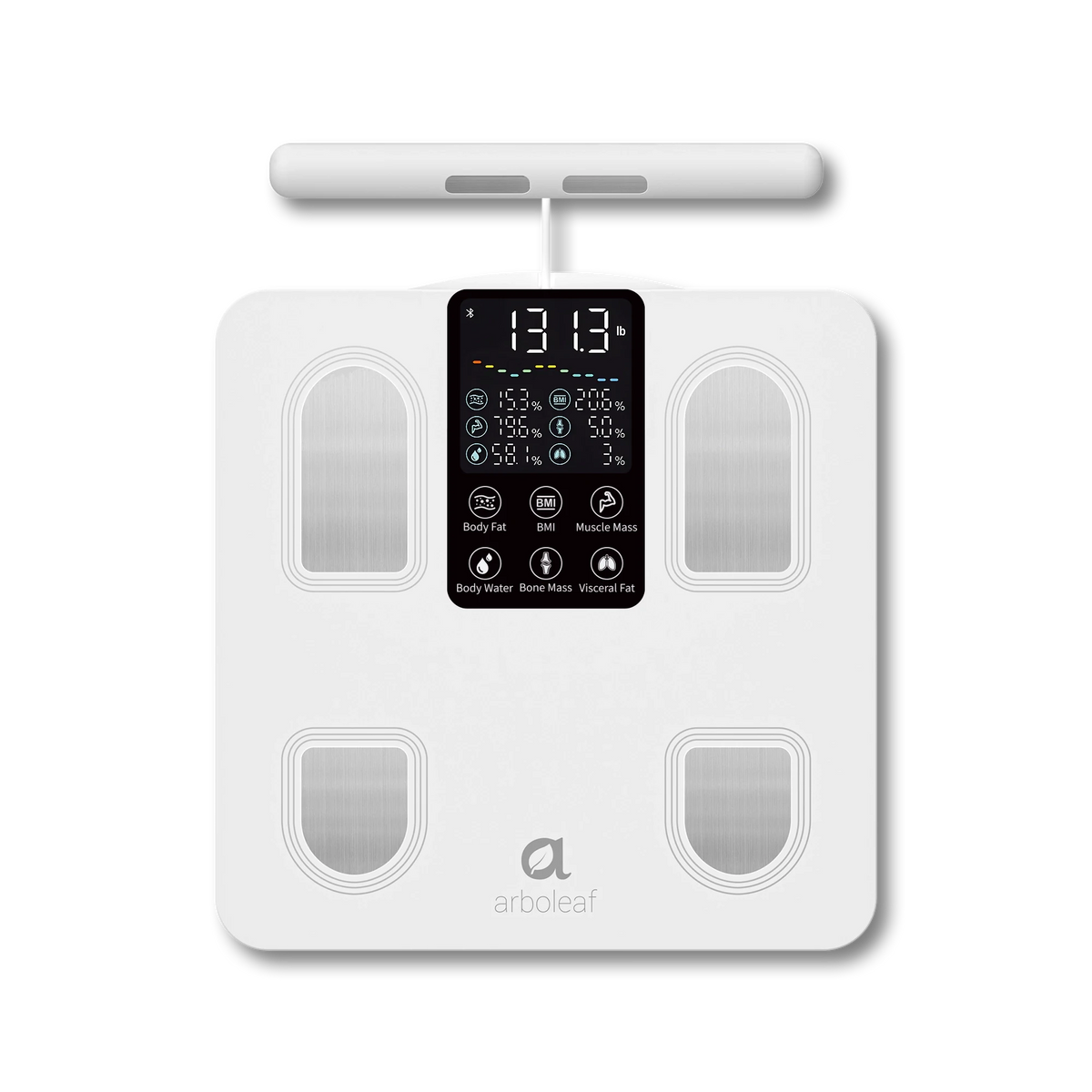 Segmental Smart Scale CS10E