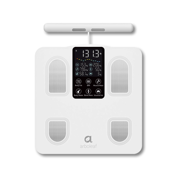 Segmental Smart Scale CS10E