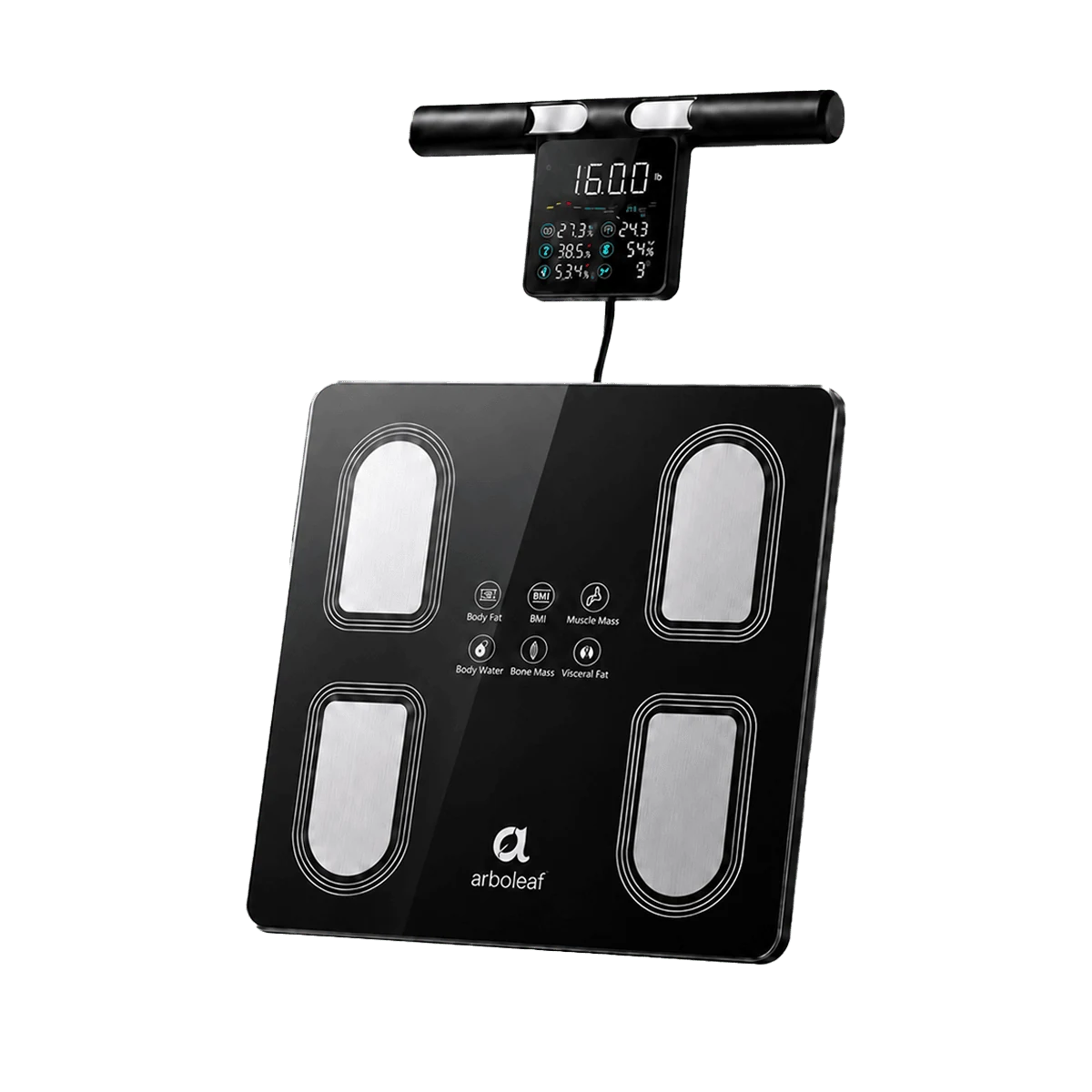 Black body fat scale with digital display on a transparent background