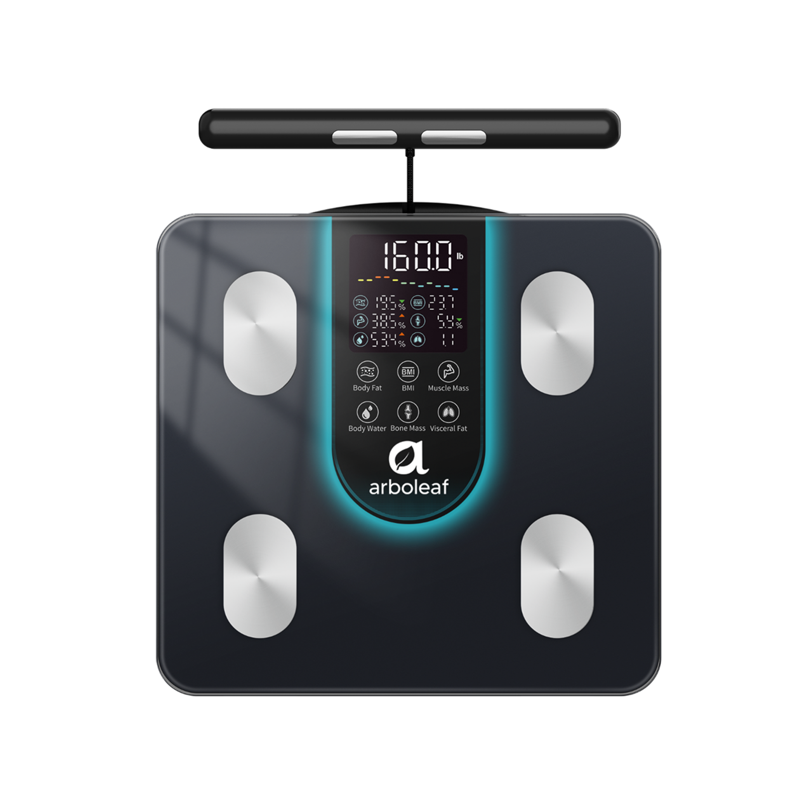 Segmental Body Scale CS10K