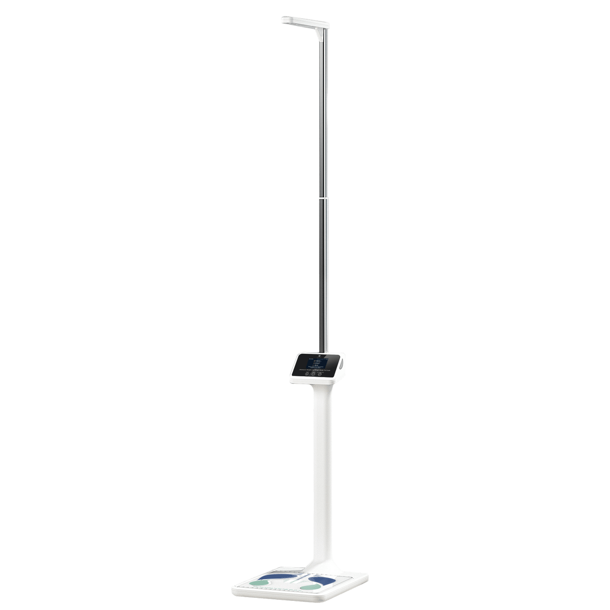 Professional Body Scale