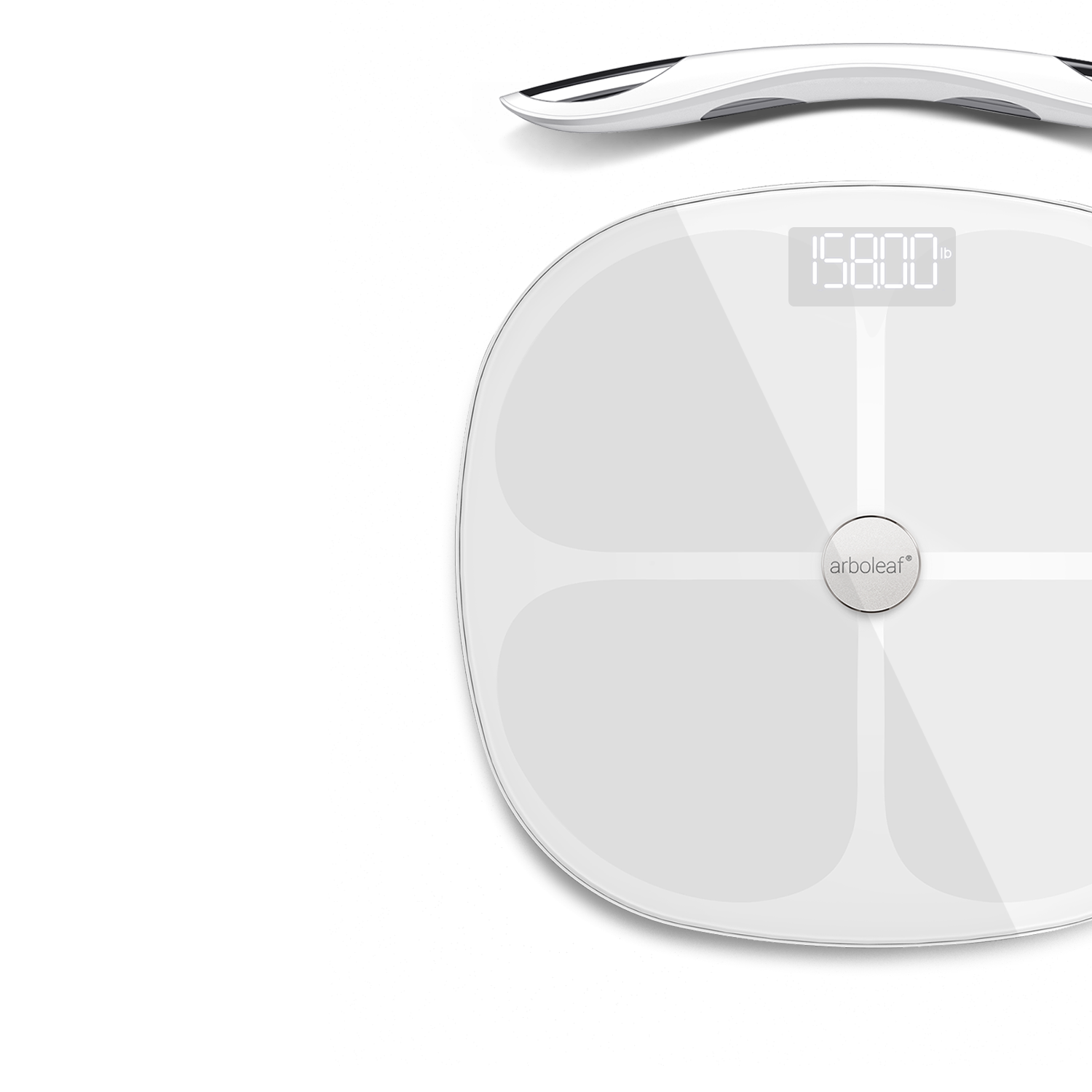 Review of the Arboleaf Body Composition Smart Scale - CalorieBee