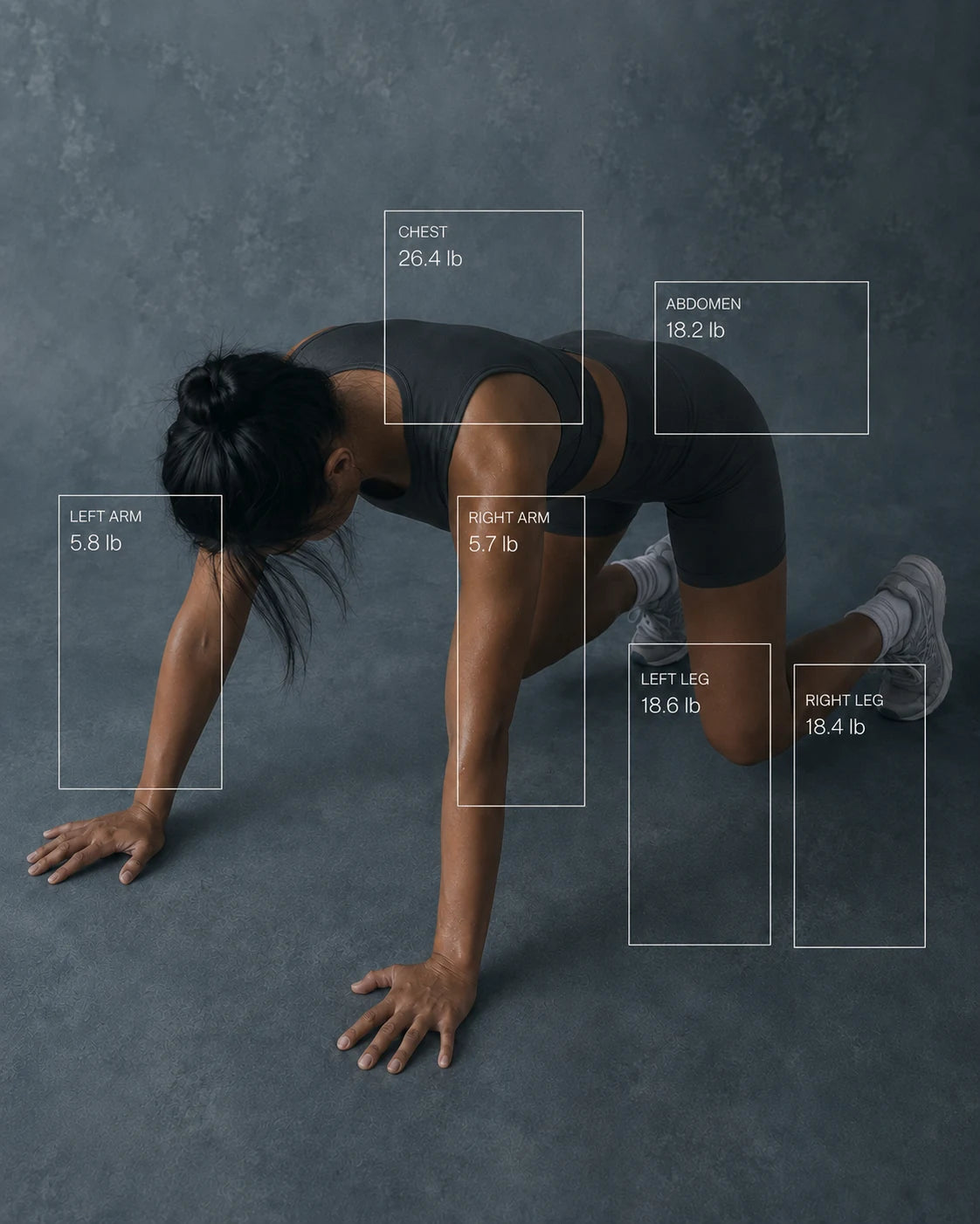 See fat and muscle by segment