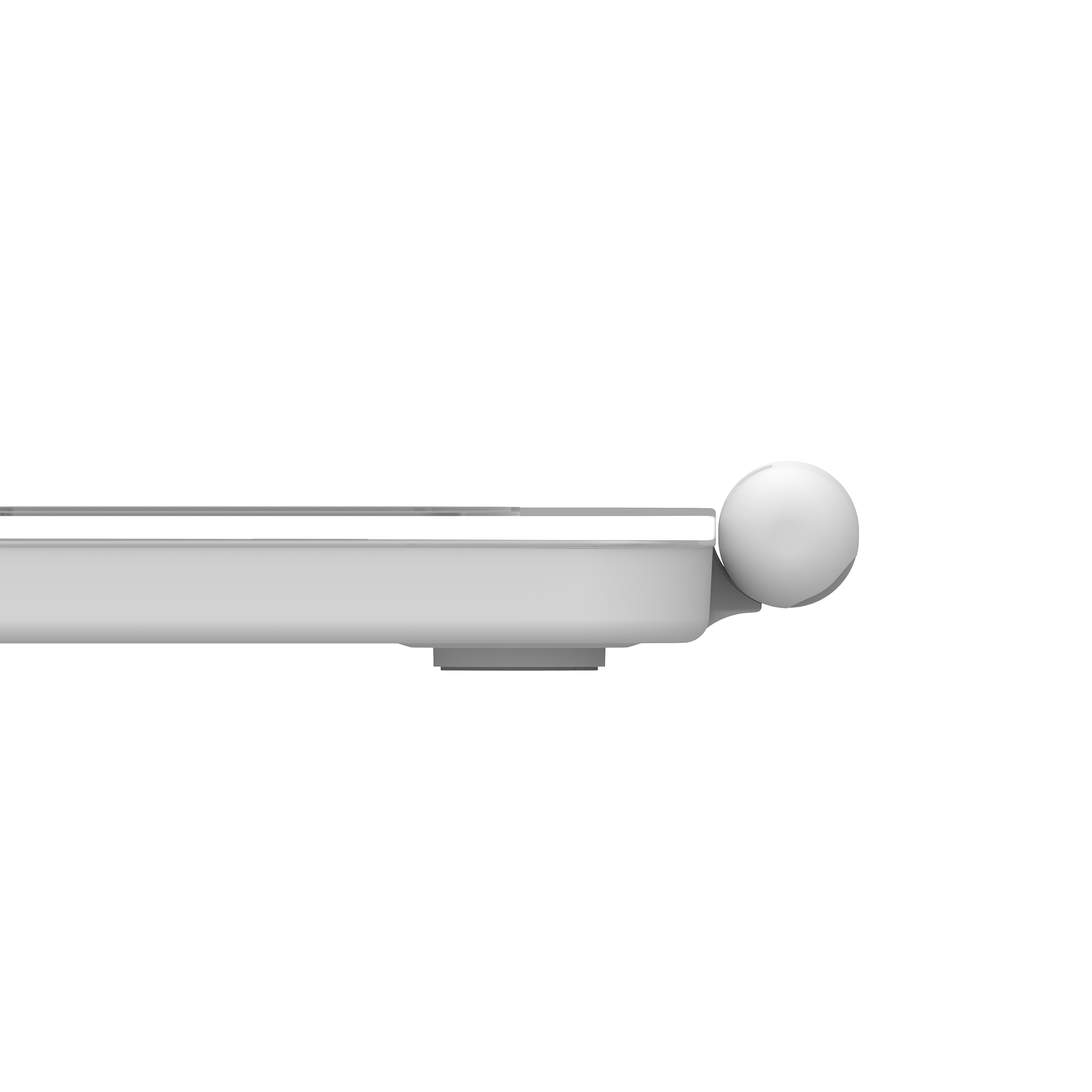 Segmental Body Scale CS10E