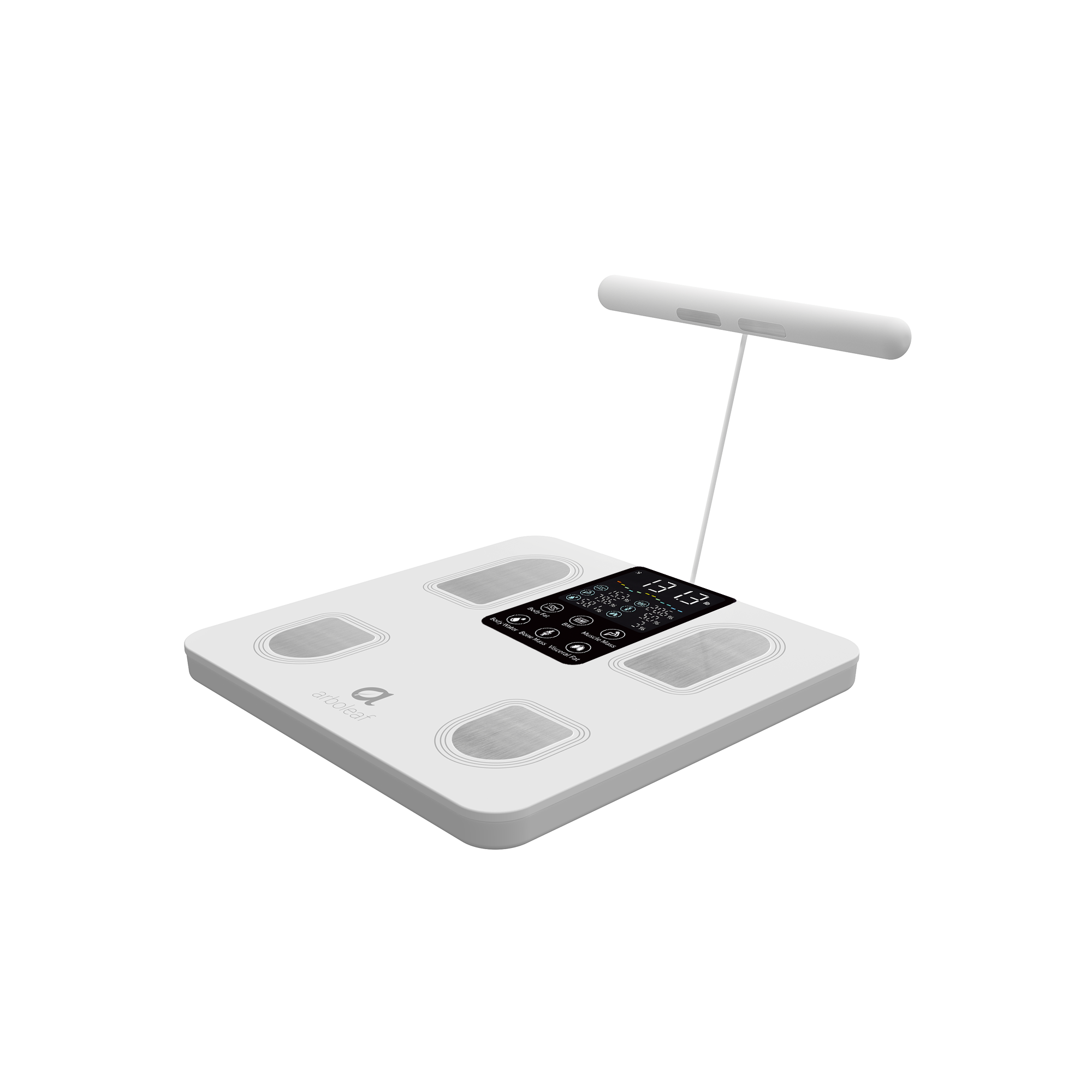 Trade in Segmental Body Scale CS10E