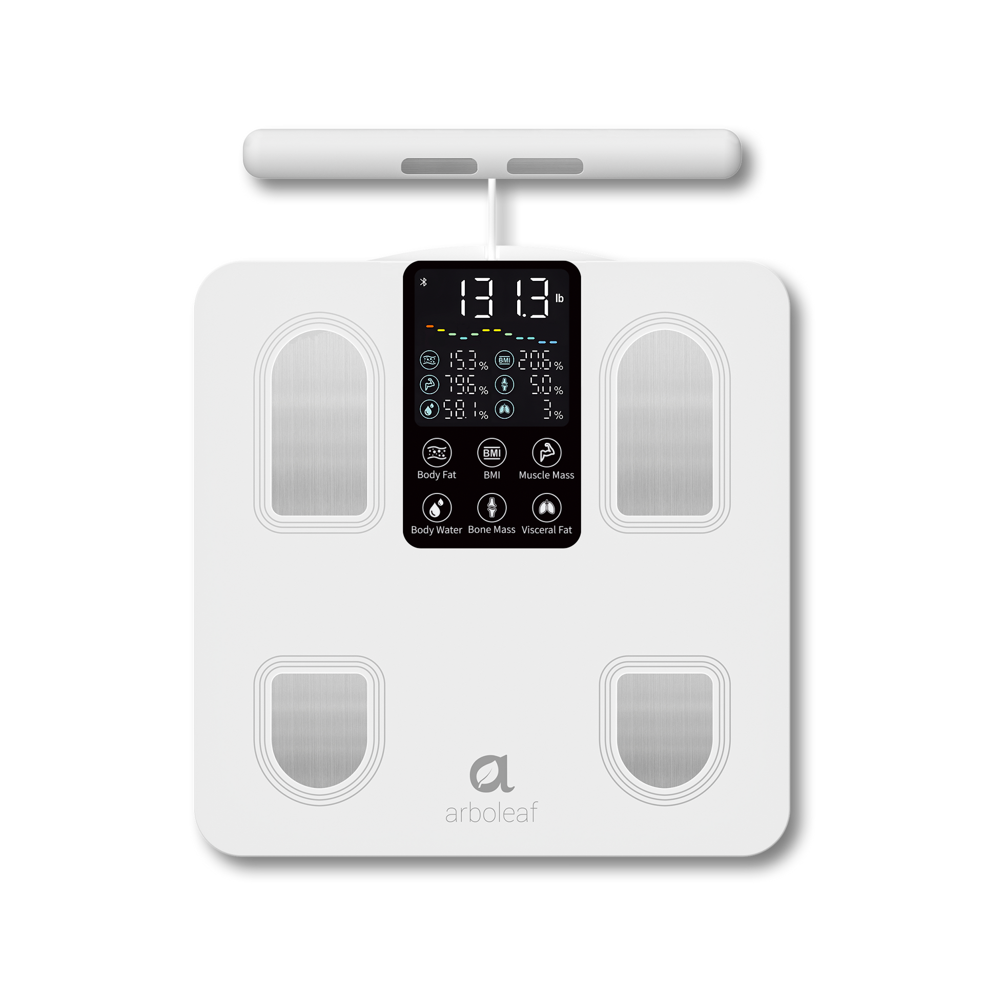 Arboleaf CS10E scale results example infographic
