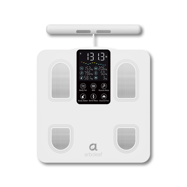 Segmental Smart Scale CS10E