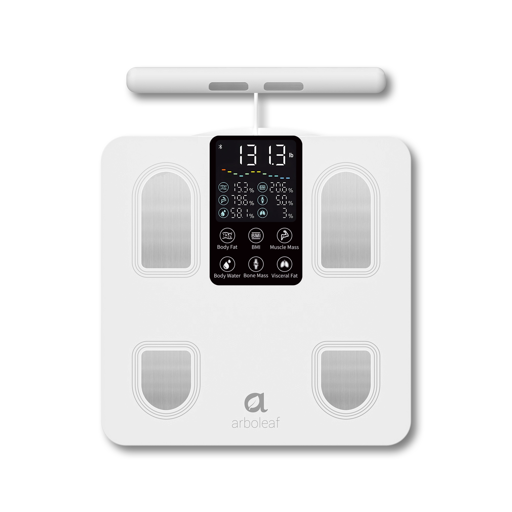 Segmental Smart Scale CS10E