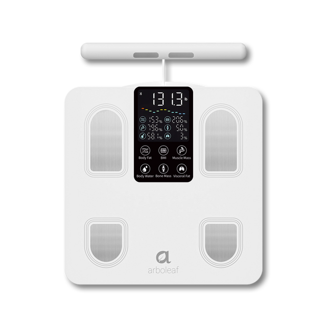 Segmental Smart Scale CS10E