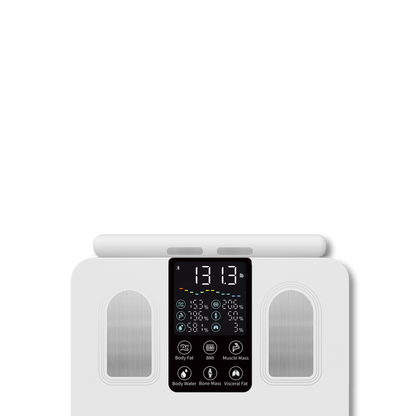 Segmental Body Scale CS10E