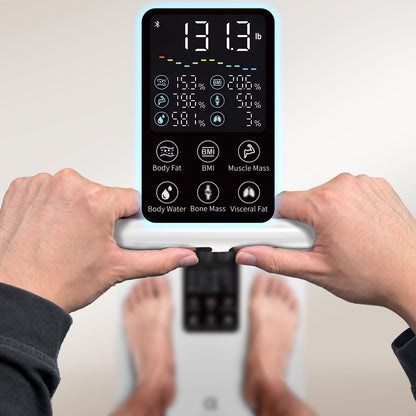 Segmental Body Scale CS10E