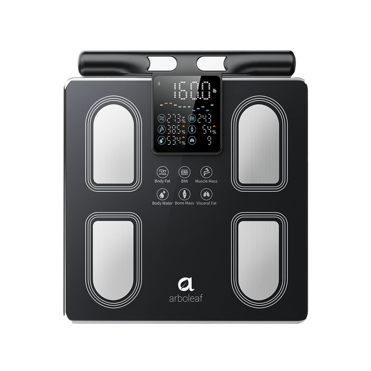 Segmental Body Scale CS10P