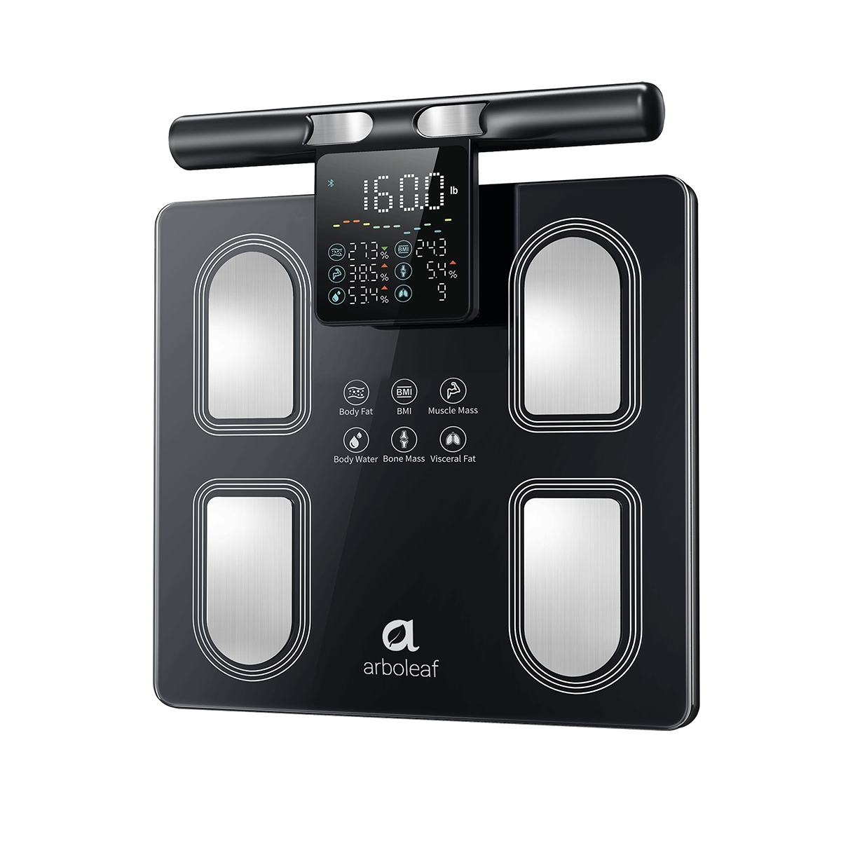 Segmental Body Scale CS10P