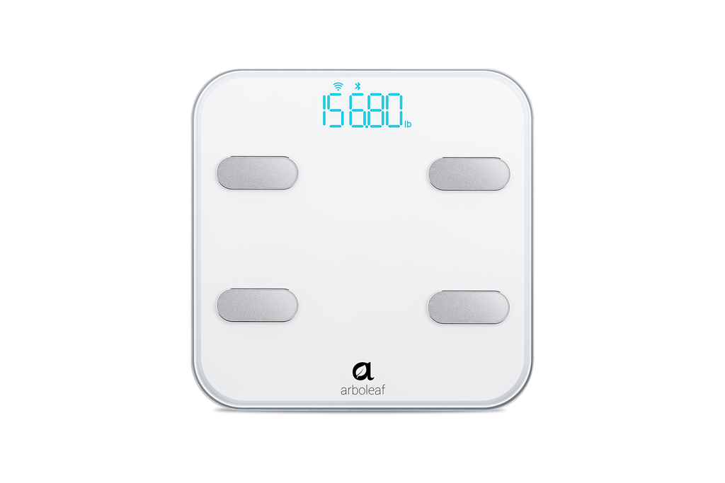 Arboleaf body composition smart scale review - The Gadgeteer