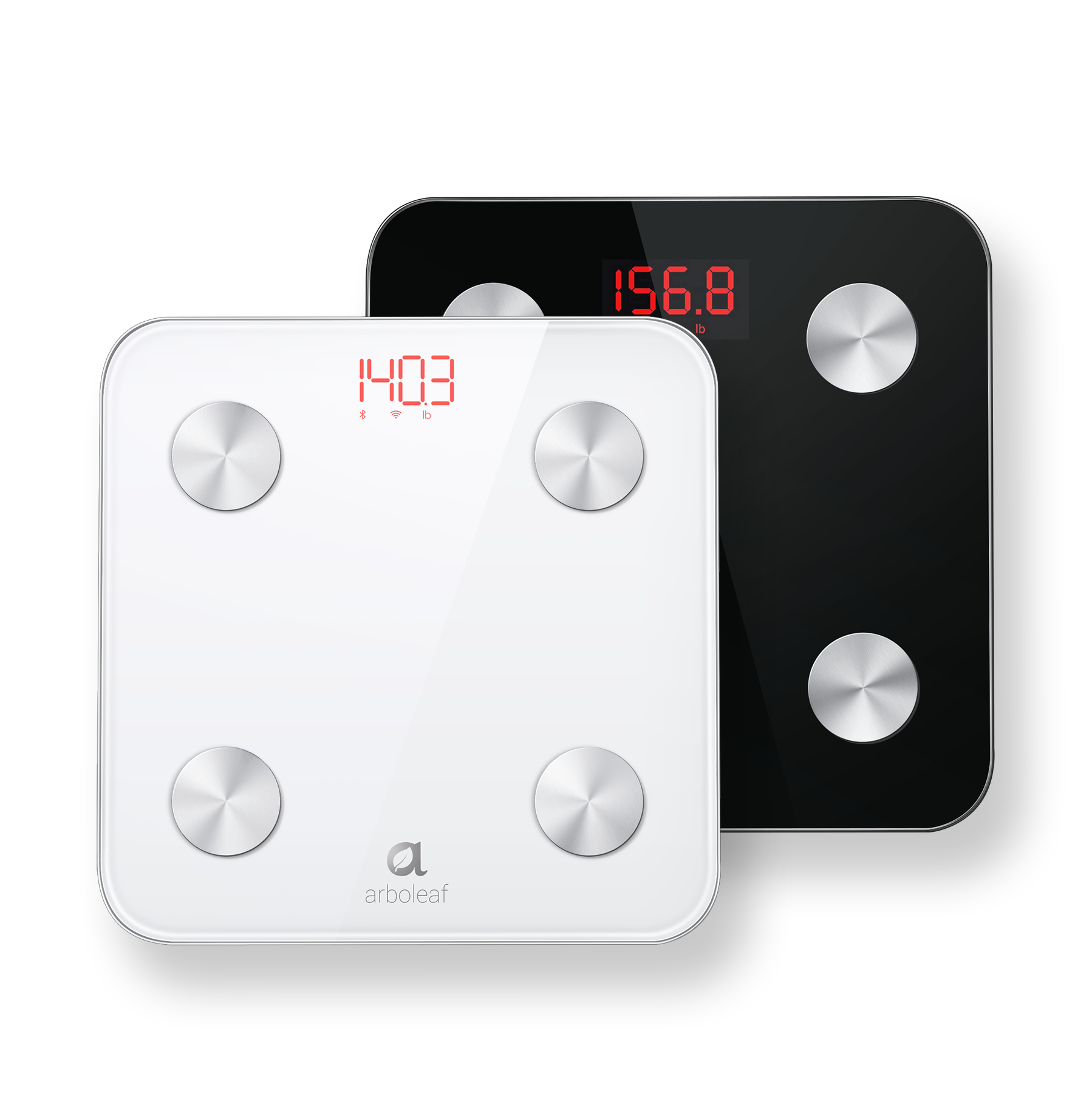 Review of the Arboleaf Smart Scale - TurboFuture