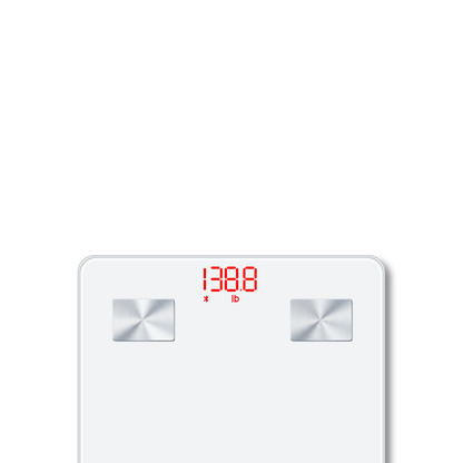 Body Scale CS20N